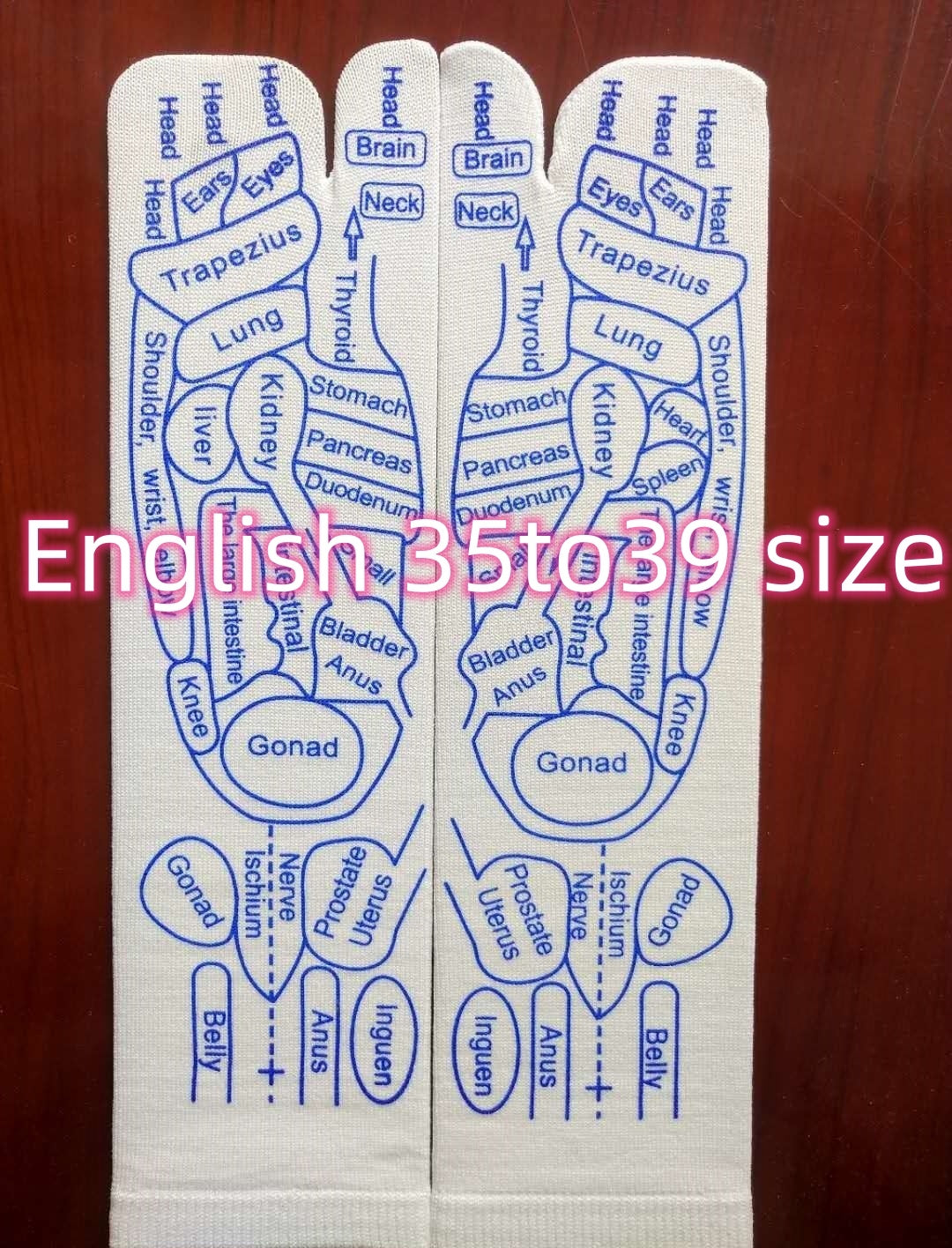 Acupressure reflexology foot massager socks with organ diagrams for therapeutic use in size English 35 to 39.