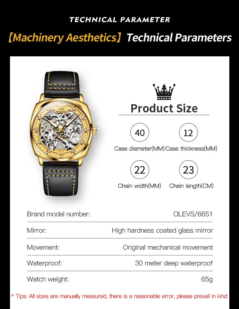 OLEVS 6651 Classic Automatic Mechanical Watch For Men Hollow Skeleton Luxury Leather Wrist Watches Waterproof Luminous Man Watch Brief Boxers