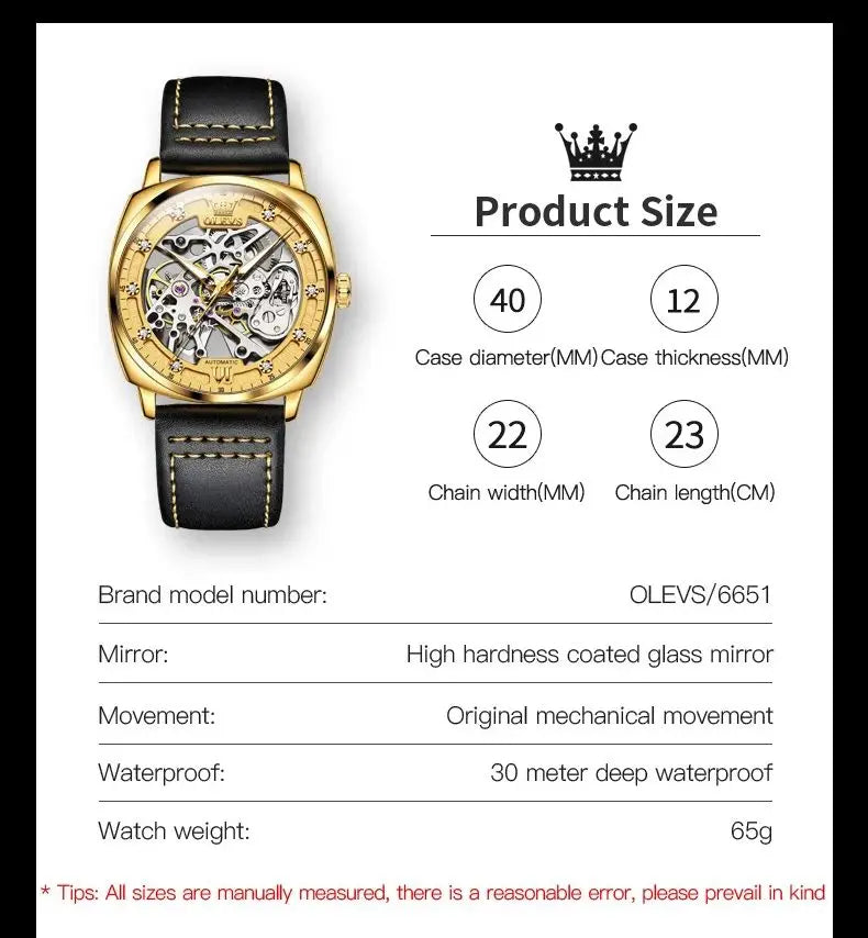 OLEVS 6651 Classic Automatic Mechanical Watch For Men Hollow Skeleton Luxury Leather Wrist Watches Waterproof Luminous Man Watch Brief Boxers