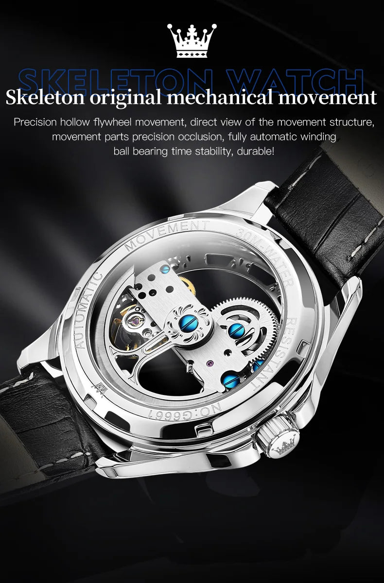 OLEVS 6661 Top Brand Automatic Mechanical Watch For Men Hollow Skeleton Roman Scale Man Watches Waterproof Business Wrist Watch Brief Boxers